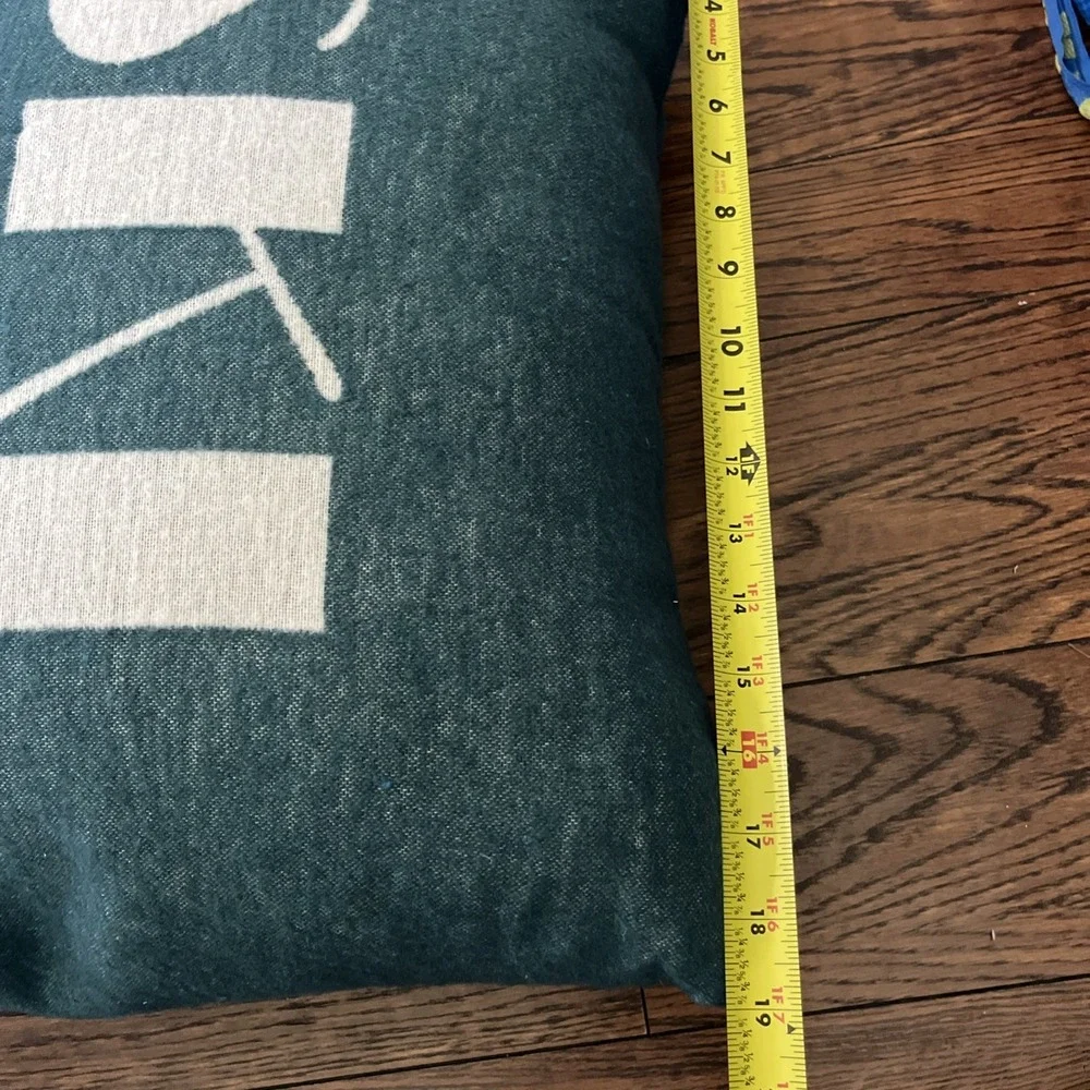 David Fussenegger Ski You Soon green down pillow, New, 18